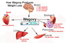 Evaluating the Cost of Wegovy